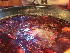 -星鸿社重庆老火锅(燃灯寺分店)