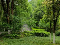 -重庆彩云湖湿地公园
