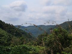-海南热带雨林国家公园吊罗山景区