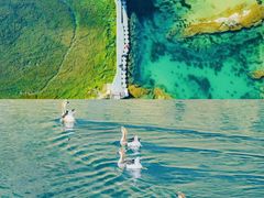 -靖西鹅泉风景区