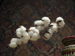 -淮国旧H22·中古店