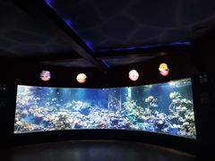 -北海·海洋之窗