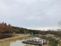 -上海长兴岛郊野公园