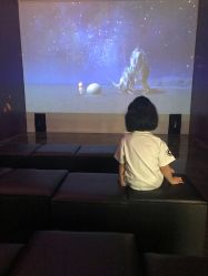 -恐龙探索乐园(磁器口店)