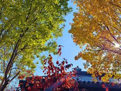 -东方华地城湿地温泉度假区