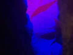 -寻龙山风景旅游区