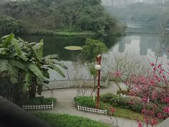 -重庆彩云湖湿地公园