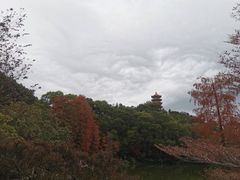 -深圳仙湖植物园