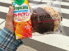 -台场海滨公园船码头