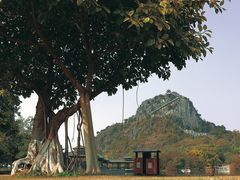 -南宁花花大世界景区