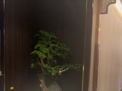 -蜀厨小匠·民间川菜(犀浦店)
