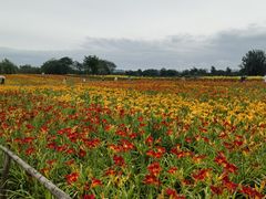 -汉长安城未央宫国家考古遗址公园