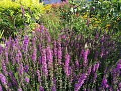 -长春公园(普阳街道)