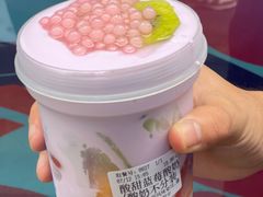 -溪边姑娘·拉丝酸奶水果捞(春熙路店)