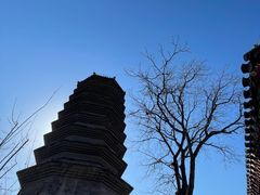 -万松老人塔