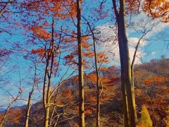 -光雾山旅游景区