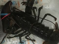 -盒马鲜生(曜一城店)
