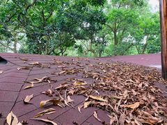 -顺风山庄(水濂山店)