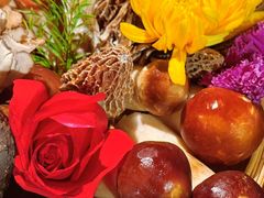 -花菇朵·云山雀 ll 野生菌锅·野果酸汤·精品滇菜(万柳店)