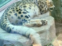-青藏高原野生动物园