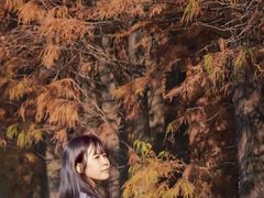 -三水森林公园
