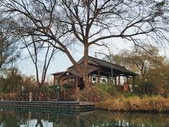 -西溪国家湿地公园