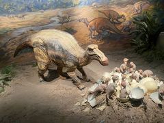 -自贡恐龙博物馆