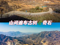 -黄金寨原生态旅游区