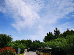 -同里国家湿地公园