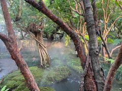 -Chom Cafe and Restaurant