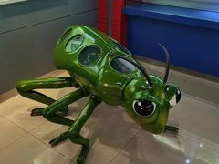 -上海昆虫博物馆