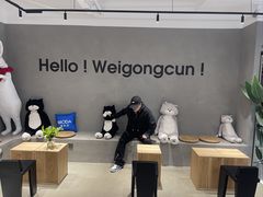 -Cappucimeow猫咪咖啡馆(韦伯时代店)