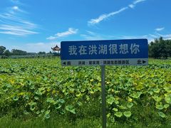 -洪湖生态旅游区