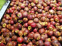 -胖东来生活广场(健康路店)