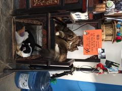 Anne猫窝咖啡屋-Anne猫窝咖啡屋