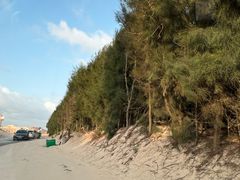 -长江澳风力发电景观区