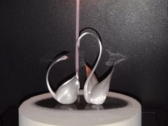 -BLACKSWAN黑天鹅(环球店)