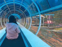 -盈香心动乐园