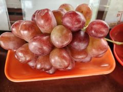 -马陆小张葡萄园农家乐