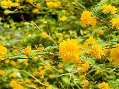 -周口店北京人遗址公园