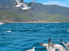 -丽江泸沽湖景区