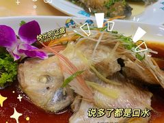 清蒸红宝石鱼-小海豚•老字号海鲜餐厅(天涯店)