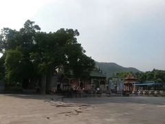 -悦城龙母祖庙