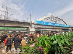 -三圣花乡旅游区