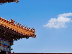 -故宫博物院(故宫)