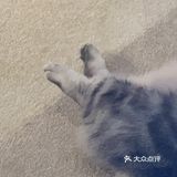可爱系数max！