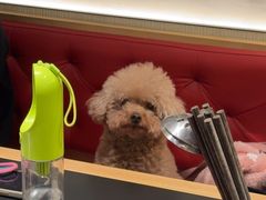 -廖掌柜·重庆鲜货火锅(上海首店)