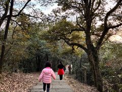 -西湖风景区十里琅珰-五云山