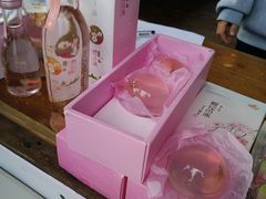 -天适樱花悠乐园