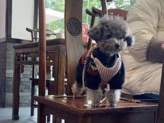 -鸿兴楼酒家嘉山路店